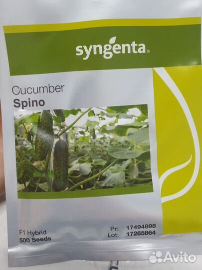 Семена огурец Спино 500с Сингента