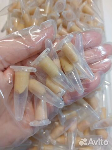 Средство от тараканов, капсула Фелис