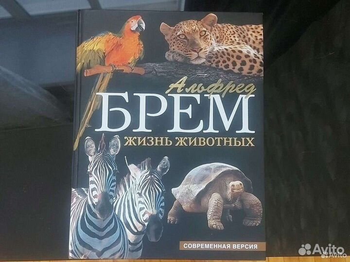 Книга о Жизни животных 