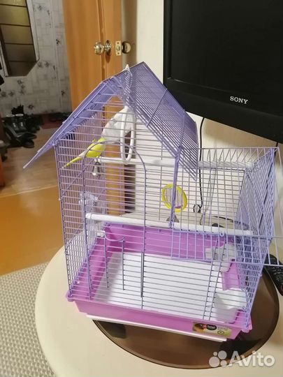 Клетка для попугая
