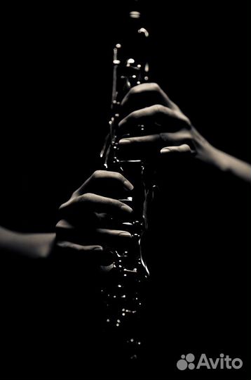 Репетитор: саксофон, кларнет