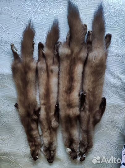 Шкурки куницы (4 штуки)