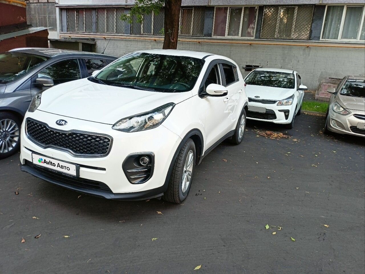Kia Sportage: фото владельца