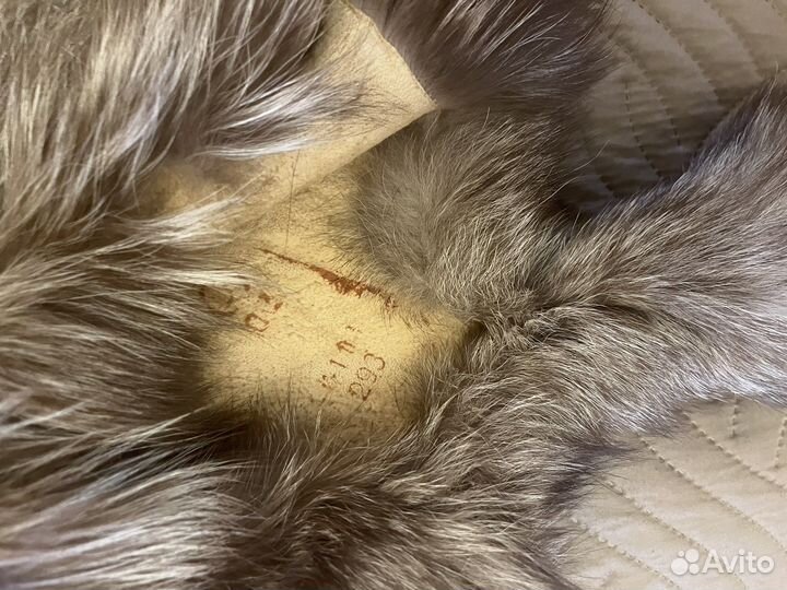 Шкурка песца