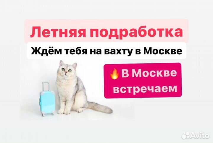 Вахтовая работа в Москве: Комплектовщиком