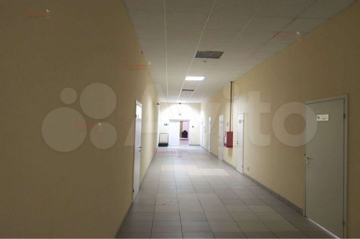 Офис, 146.6 м²