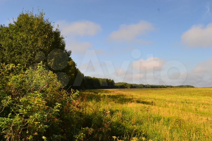 Участок 20 га (СНТ, ДНП)