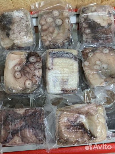 Осьминог Дафлейн опт/розница