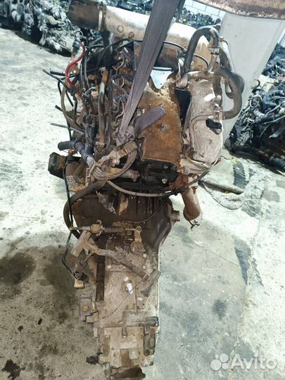 Двигатель в сборе 8140.43B iveco Daily 3