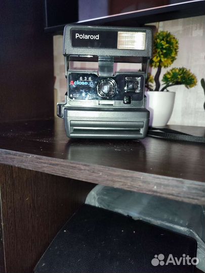 Polaroid 636