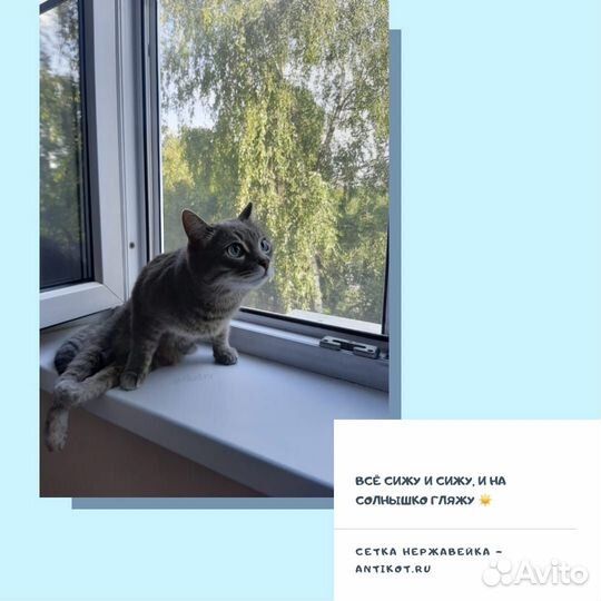 Сетки на окна антикошка