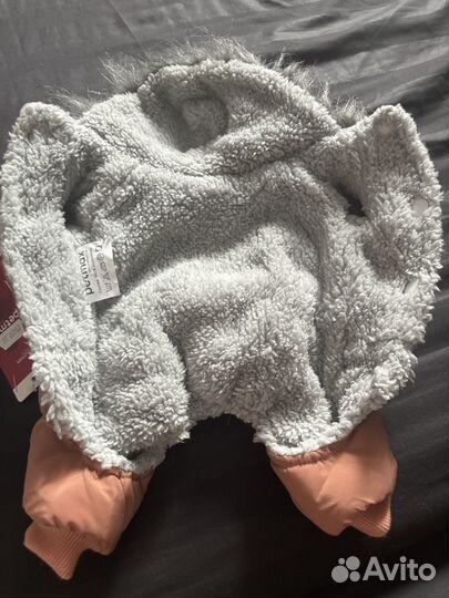 Одежда для собак