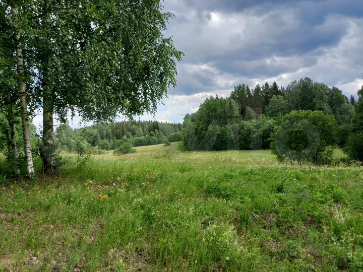 Участок 1,6 га (СНТ, ДНП)