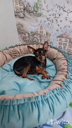 Лежанка для животных