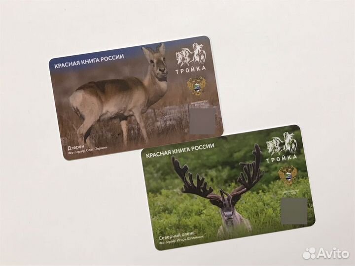 Карта метро Тройка Красная книга