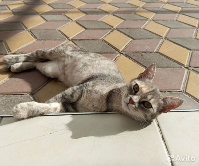 Хорошая девочка, в добрые руки