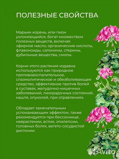 Пион марьин корень