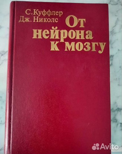 От нейрона к мозгу