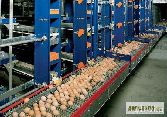 Вахта Упаковщик яичек Москва проживание+питание