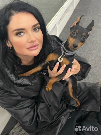 Передержка домашних животных