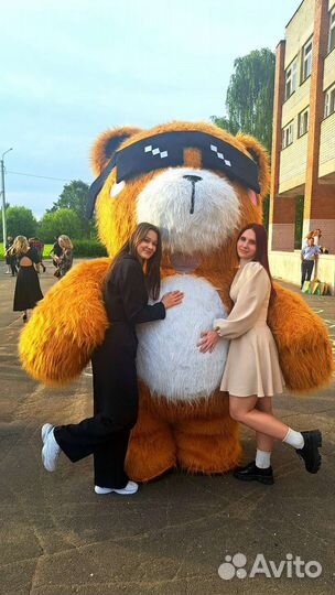 Белый мишка поздравление, праздники и мероприятия