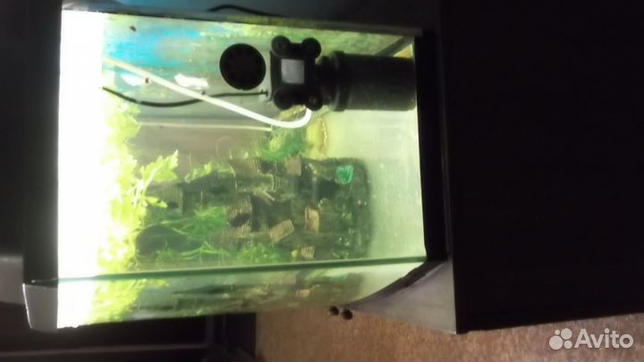 Аквариум