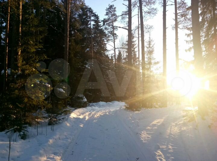 Участок 20 сот. (СНТ, ДНП)