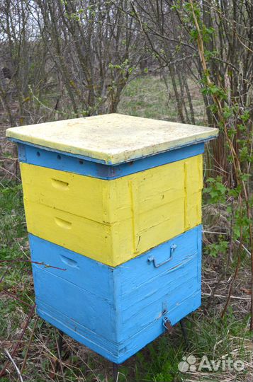 Ульи дадан для пчел