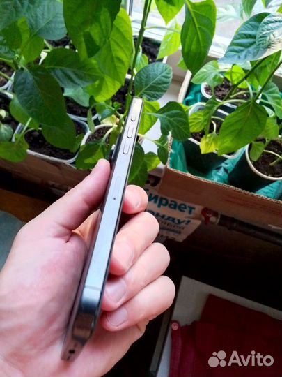 iPhone 15 Pro Max, 256 ГБ