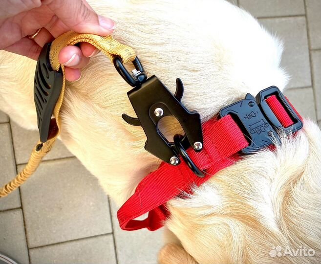 Поводок с амортизатором и карабином 