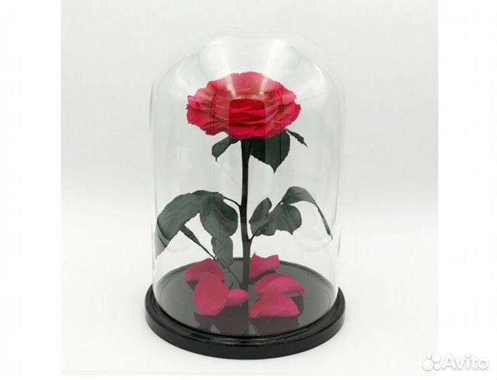 Вечная Роза в колбе + Гравировка в подарок