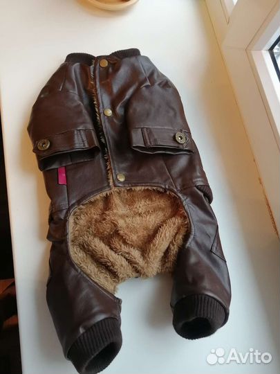 Кожаный костюм для маленьких собак /кошек