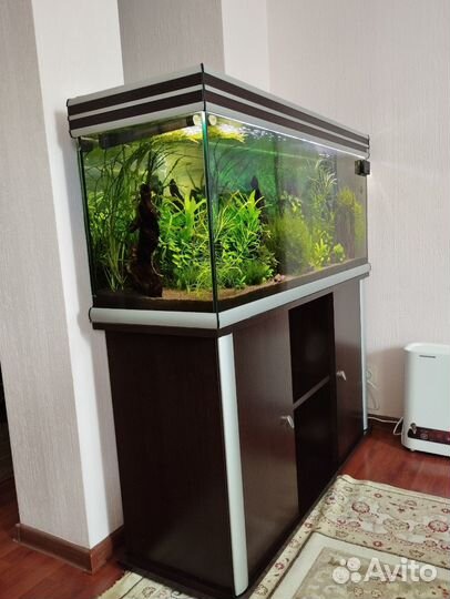 Аквариум Aquatlantis Evasion 240 литров