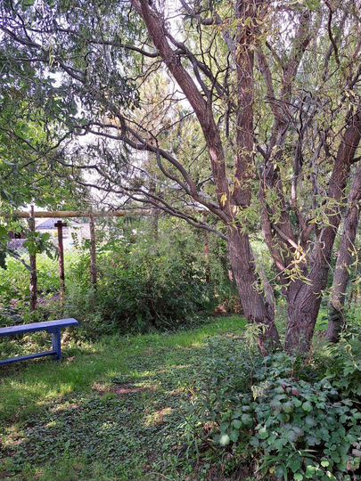 Дом 91,6 м² на участке 10 сот.