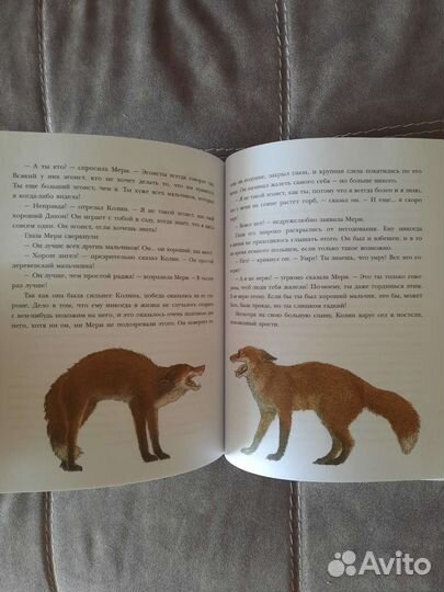 Таинственный сад Фрэнсис Бёрнетт книга