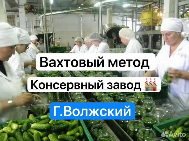 Консервный завод Разнорабочие Всеволжский