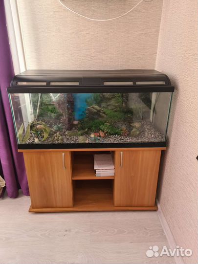 Аквариум