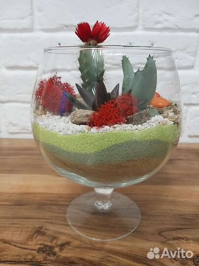 Цветы, флороариум