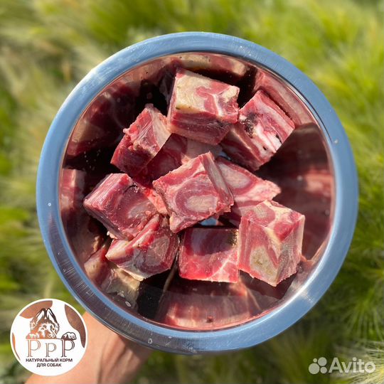 Мясо для собак. Обрезь. Легкое. Корм для собак