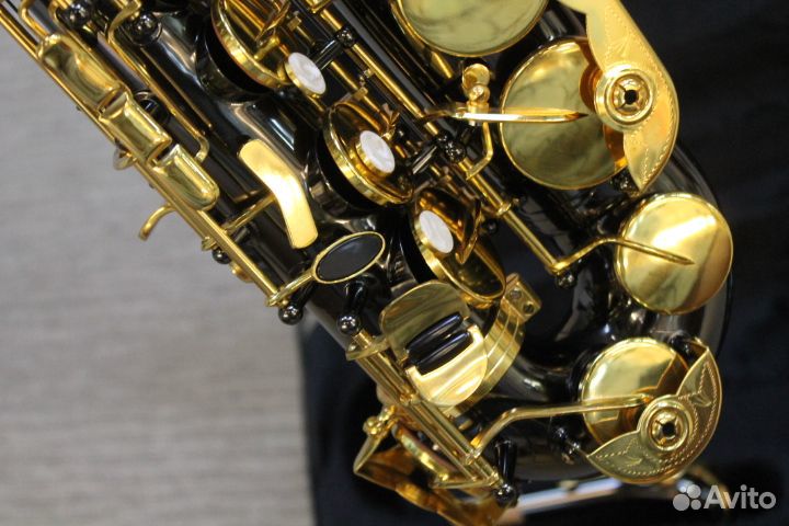 Саксофон альт Roy Benson AS-202K