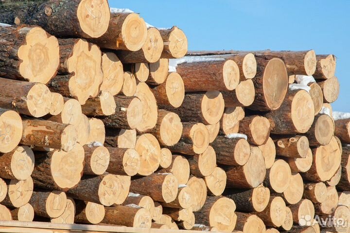 Лес кругляк Деловой