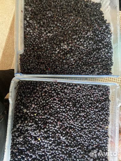 Черника замороженная