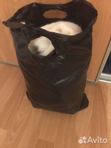 Пакет вещей