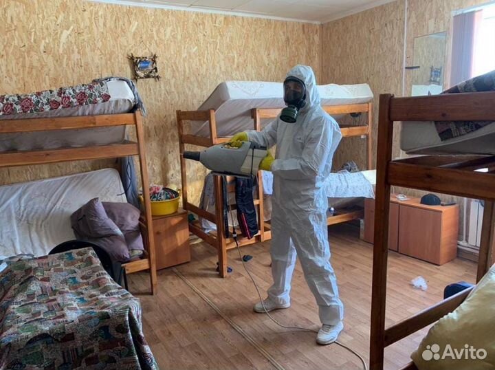 Уничтожение тараканов,клопов,плесени,шершней,крыс