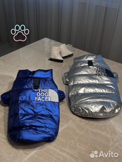 Одежда для собак мелких пород