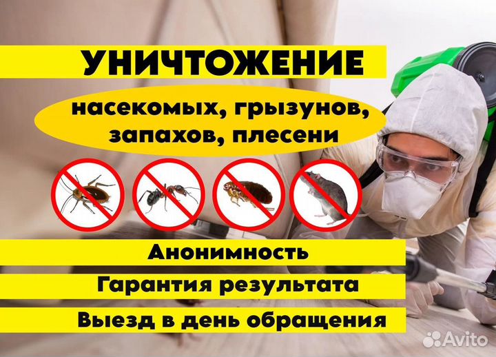 Уничтожение тараканов клопов Дезинфекция Травля