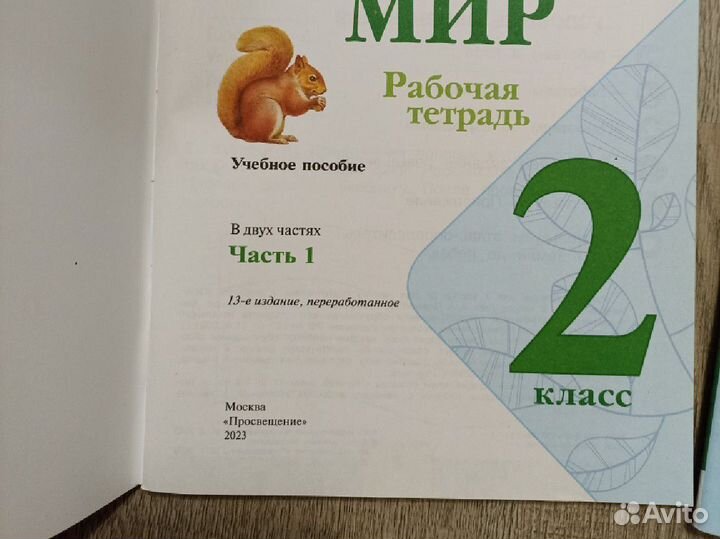 Рабочая тетрадь окружающий мир 2 и 3 класс