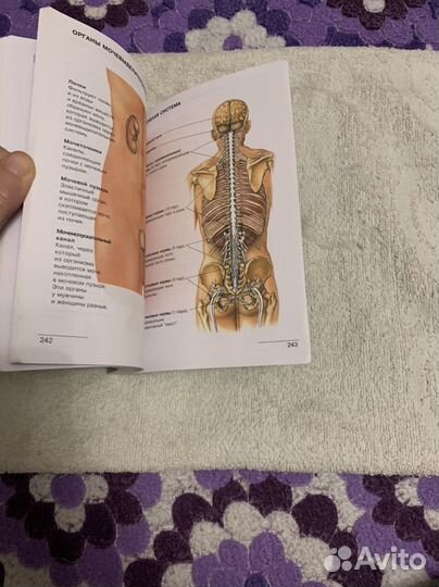 Руководство по динамической терапиии Дэнас