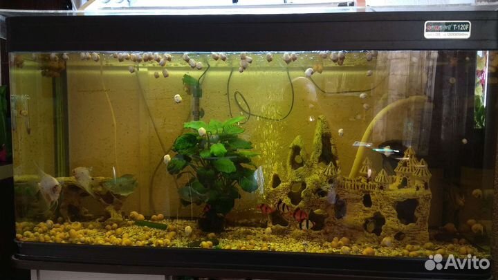 Украшение для аквариума