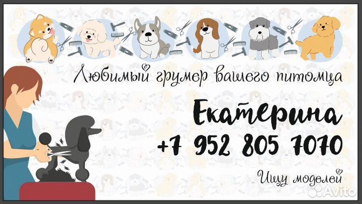 Услуги грумера